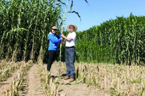 破“碱”重生，从一粒种子开始