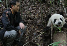 动物所中青年凯发k8家：光荣的岁月